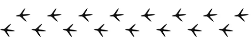 bird tracks bird tracks