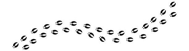 Deer paws silhouette print. Animal paws diagonal track. deer tracks